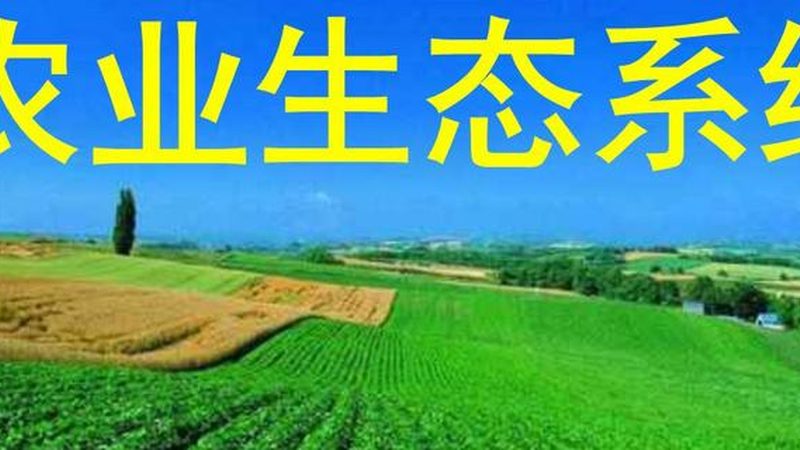 农业合作社补贴政策：农户增收新动力**