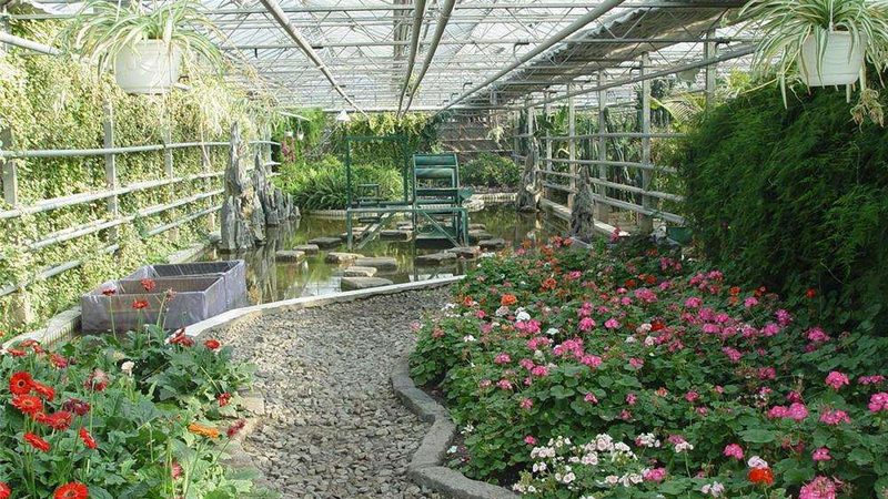四川高原农业种植补贴政策：助力高原农业绿色发展**