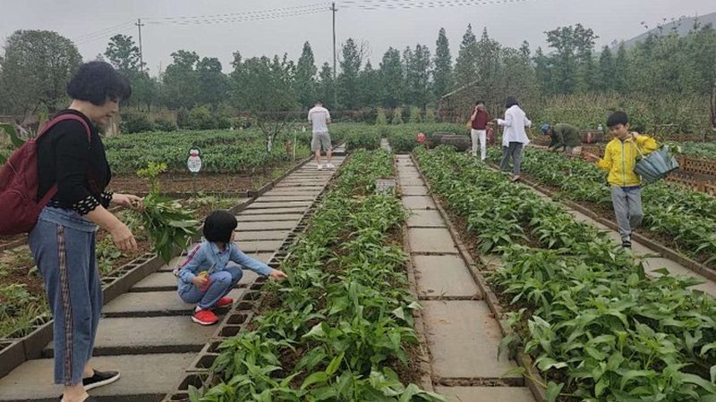 生鲜配送承包合同怎么签？关键步骤与注意事项