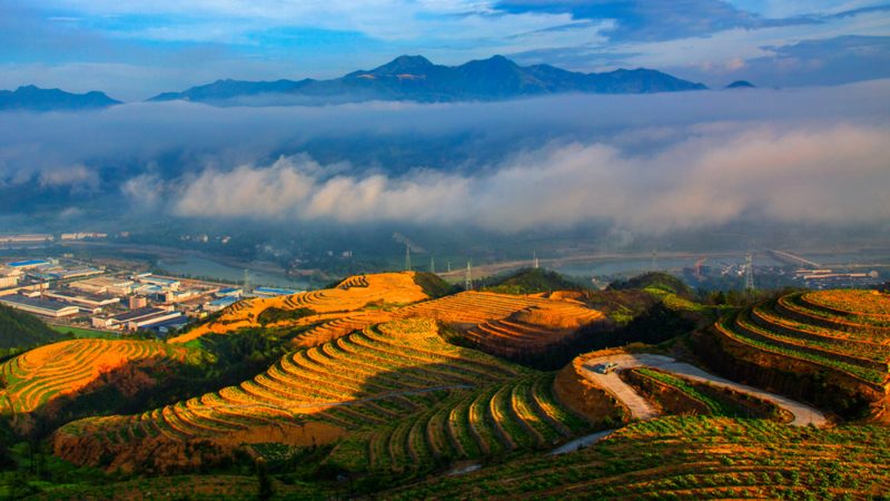 排水不畅的田块，种什么都白费力气