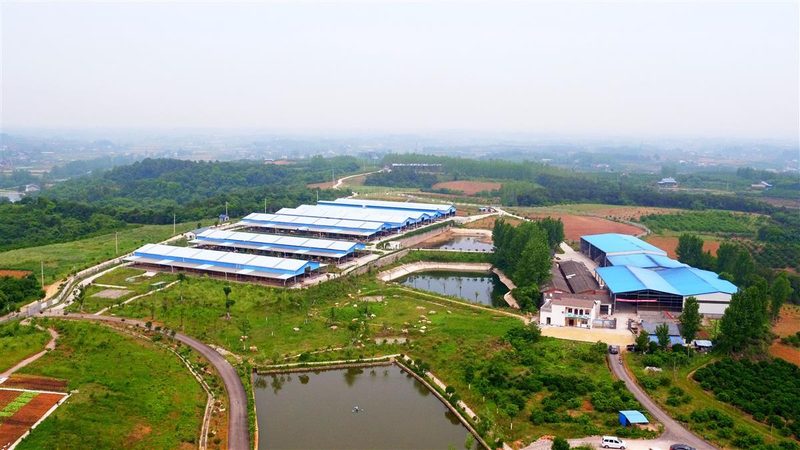 2025年粮食种植补贴政策：解读与影响