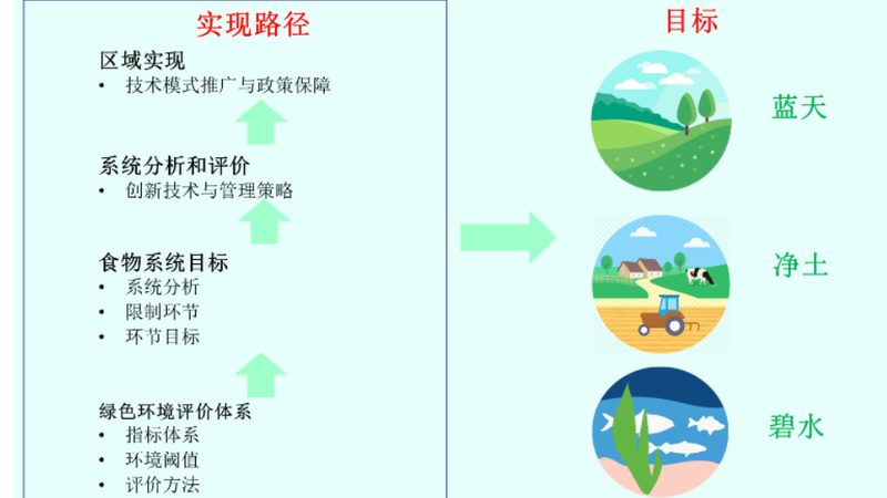 一份完整的食堂食材配送报价明细通常包括以下内容：