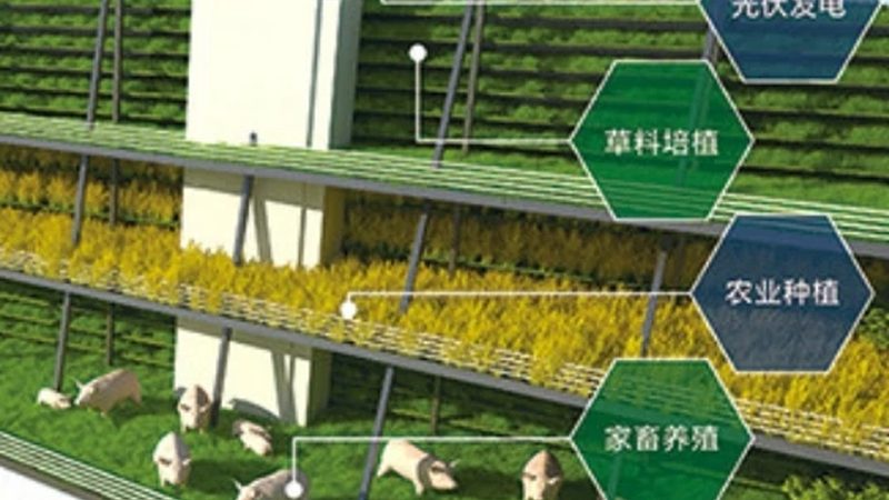 北京生态农业设备直销厂家：揭秘绿色农业的“幕后英雄