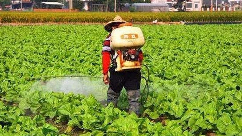 乡镇农资店装修：价格构成与关键要素