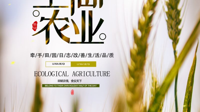 现代农业产业园建设：五大注意事项，助力农业转型升级